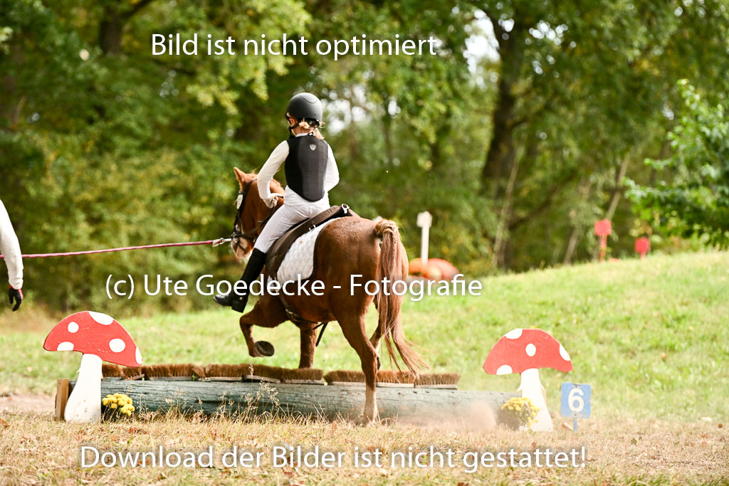 | 27092025  Führzügel WB _238 