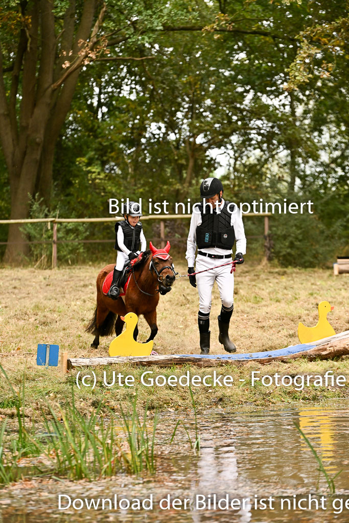  | 27092025  Führzügel WB _240 