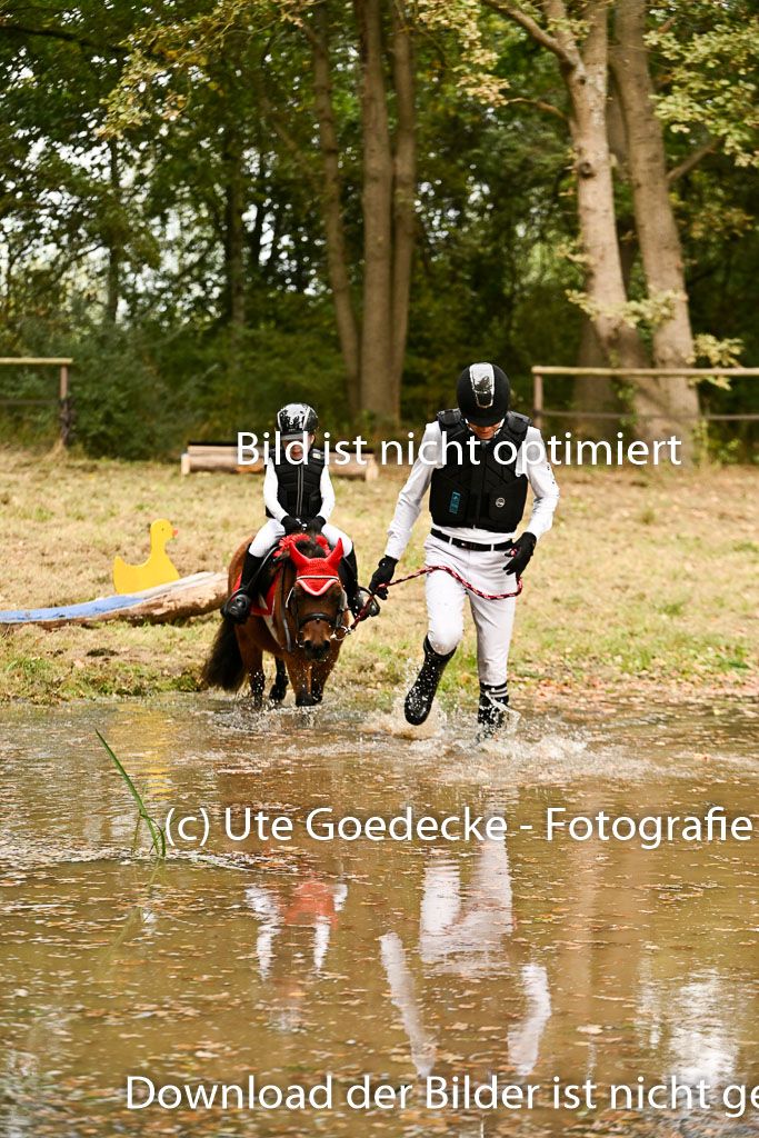  | 27092025  Führzügel WB _244 
