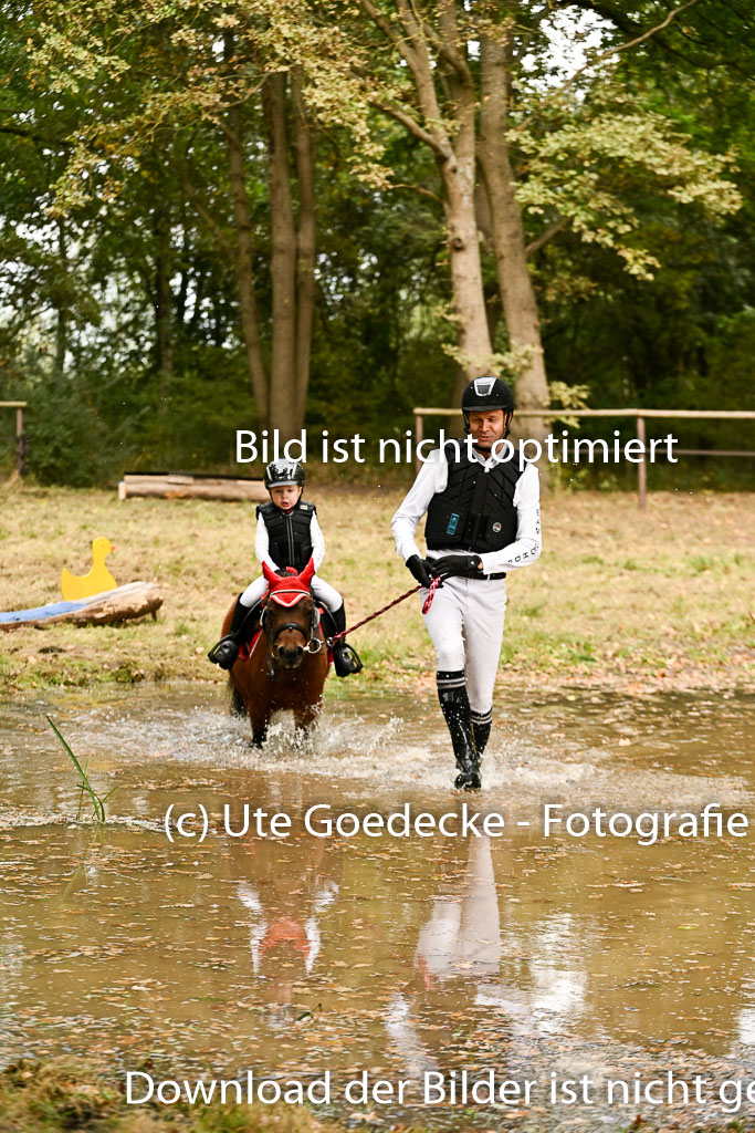  | 27092025  Führzügel WB _245 