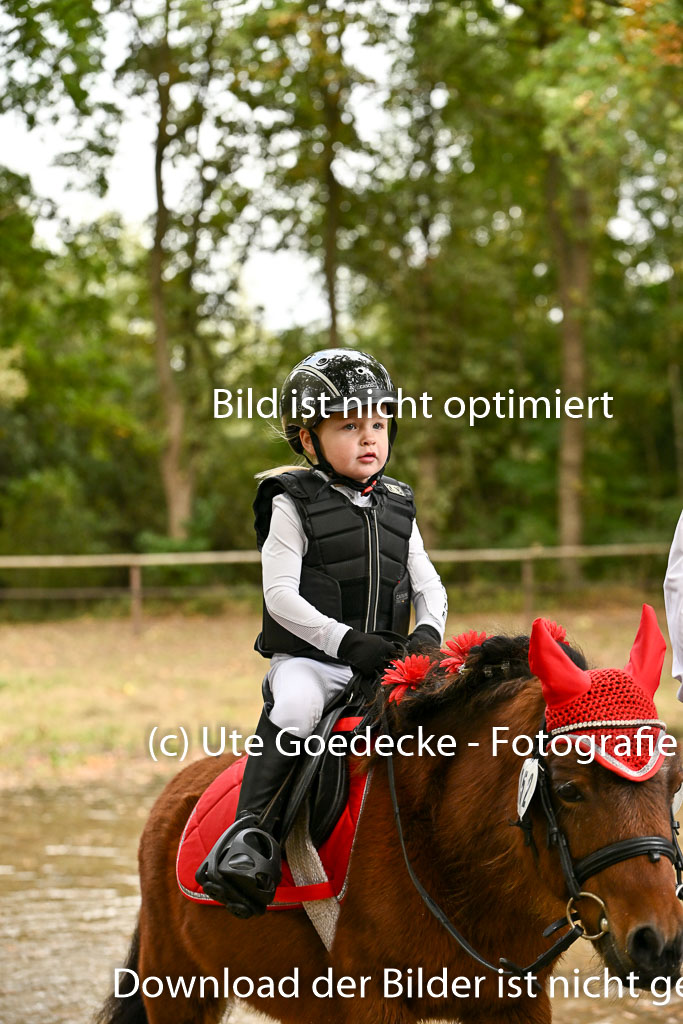  | 27092025  Führzügel WB _248 