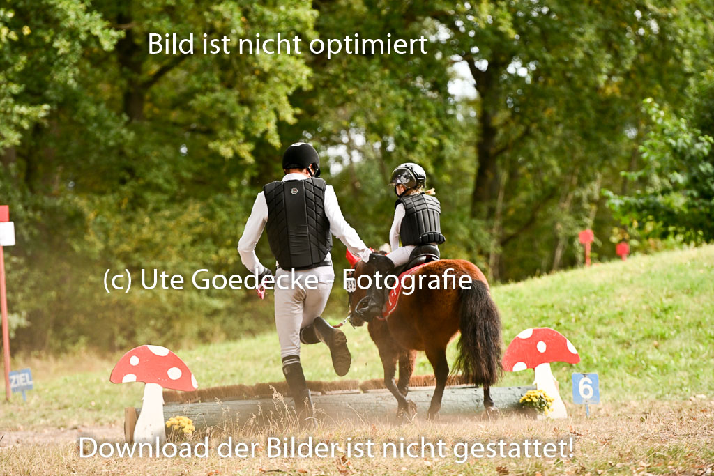  | 27092025  Führzügel WB _250 