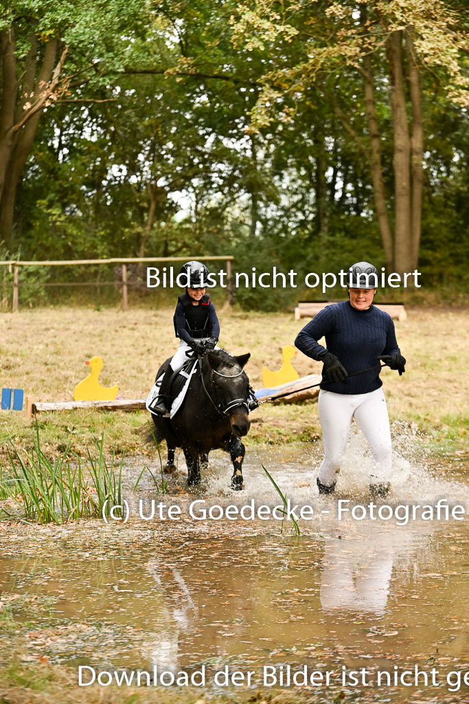  | 27092025  Führzügel WB _254 