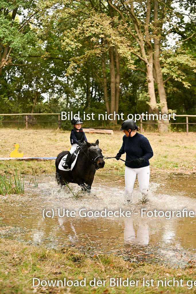  | 27092025  Führzügel WB _255 