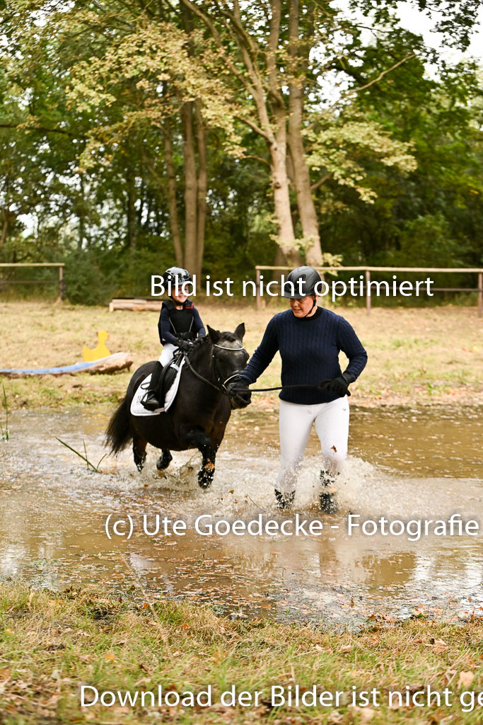  | 27092025  Führzügel WB _256 