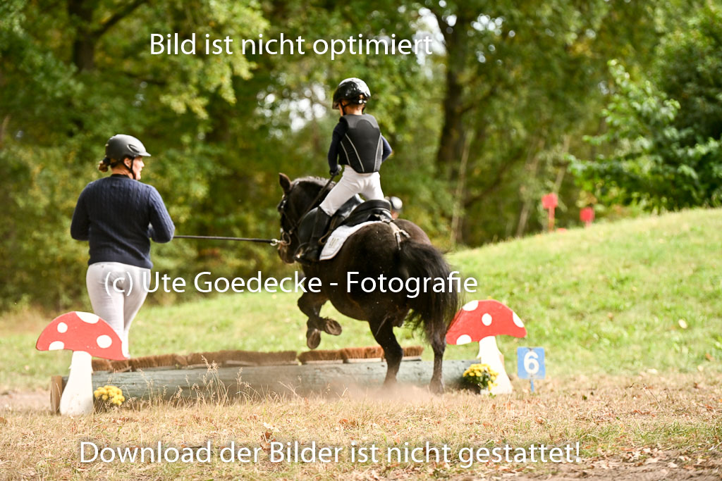  | 27092025  Führzügel WB _259 