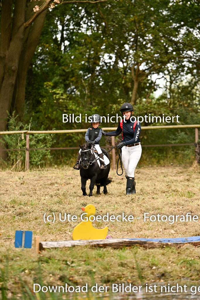  | 27092025  Führzügel WB _260 
