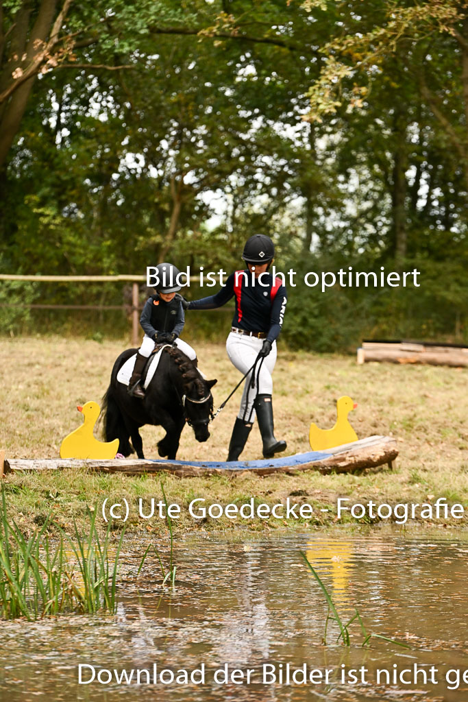 | 27092025  Führzügel WB _263 