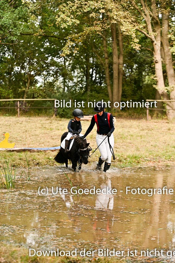  | 27092025  Führzügel WB _265 