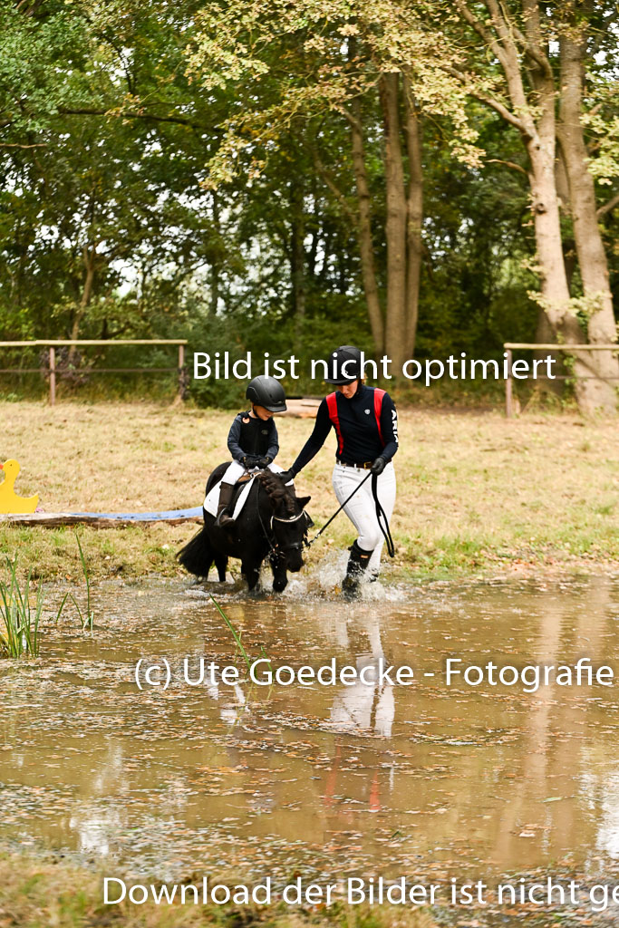  | 27092025  Führzügel WB _266 