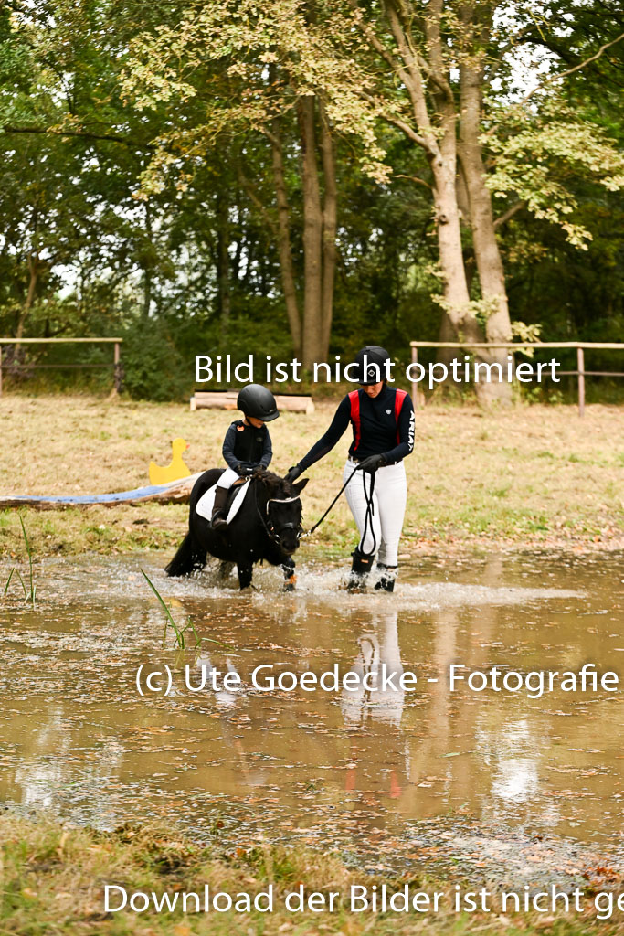  | 27092025  Führzügel WB _267 