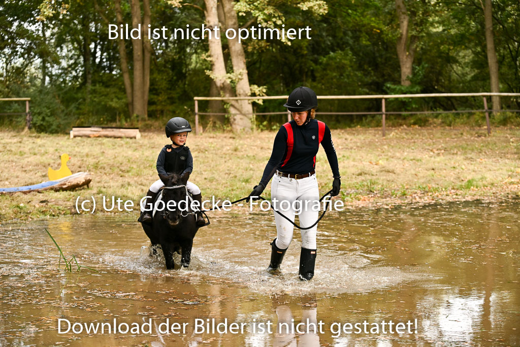  | 27092025  Führzügel WB _268 