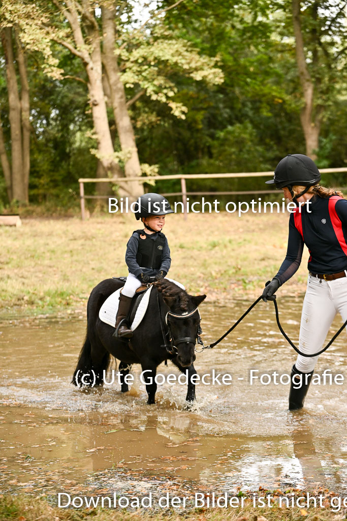  | 27092025  Führzügel WB _270 