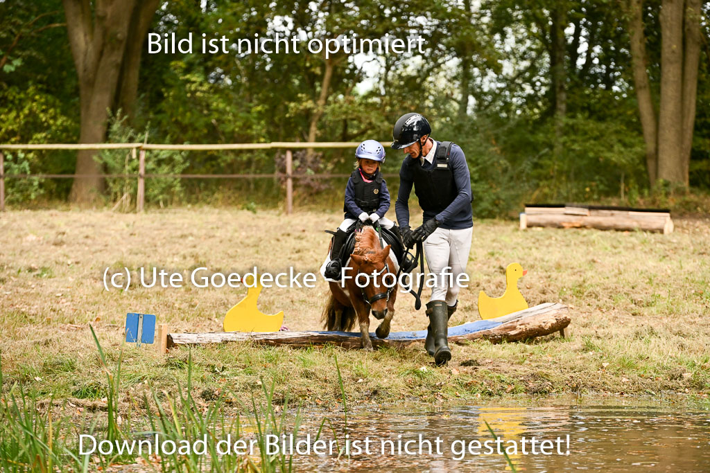  | 27092025  Führzügel WB _272 