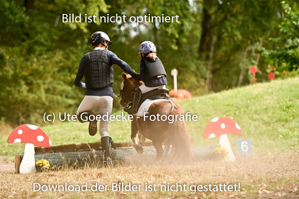  | 27092025  Führzügel WB _283 
