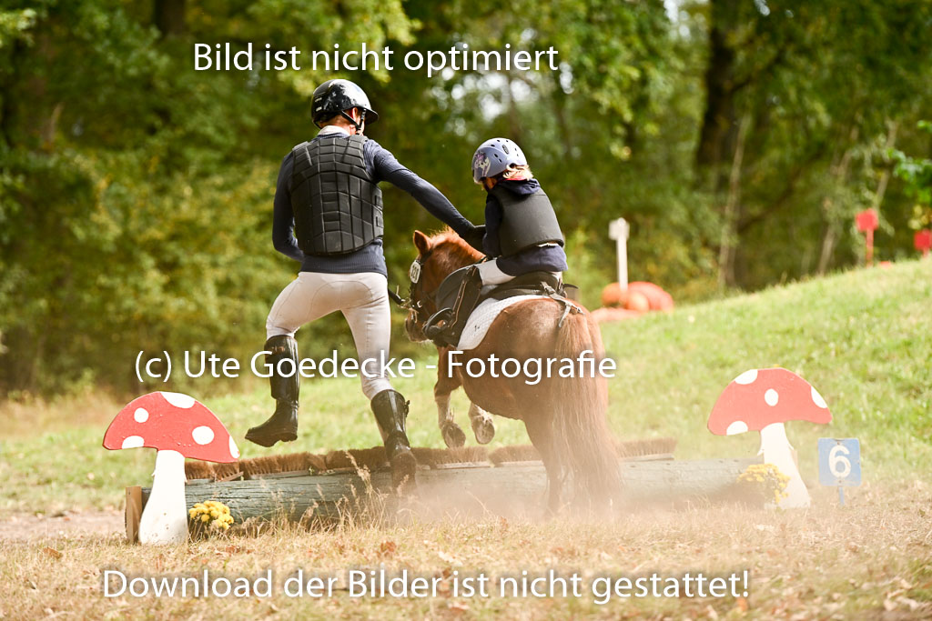 | 27092025  Führzügel WB _284 