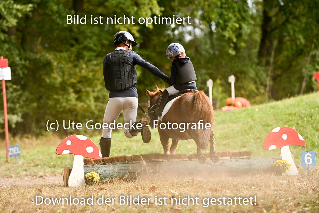  | 27092025  Führzügel WB _285 