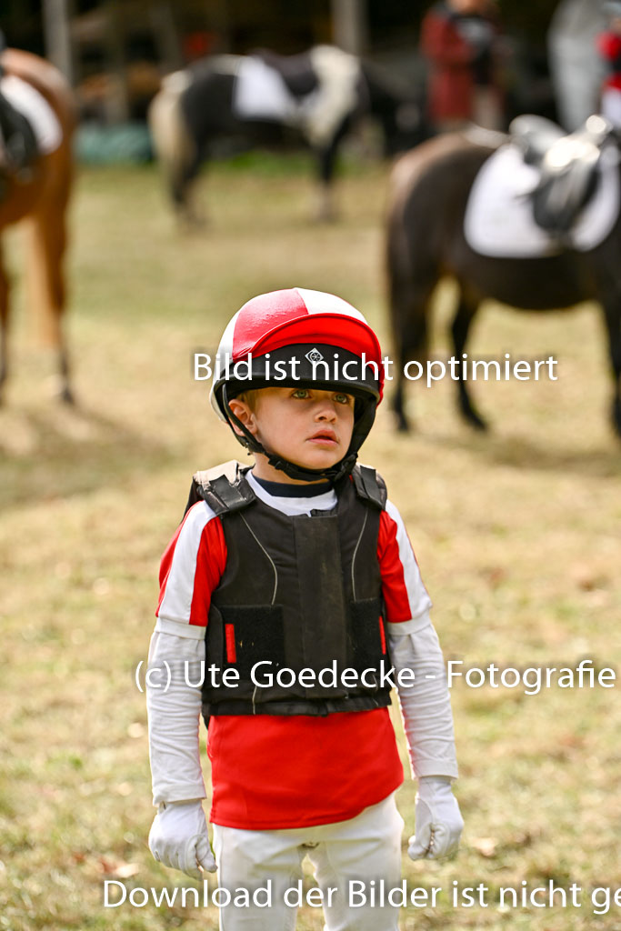  | 27092025  Führzügel WB _290 