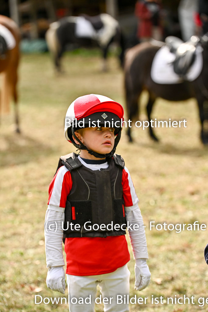  | 27092025  Führzügel WB _291 