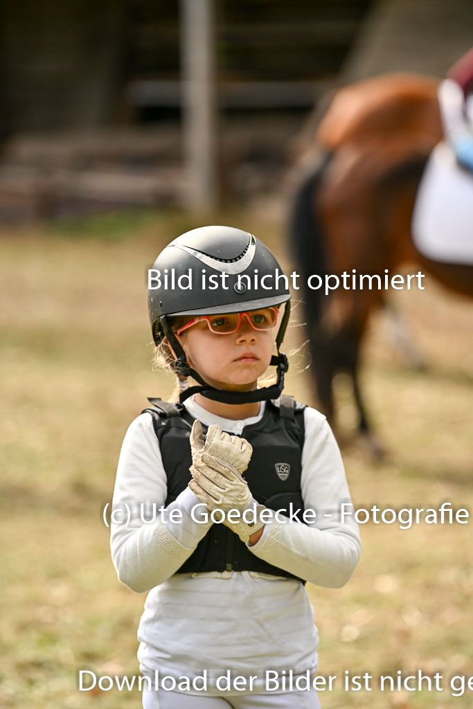  | 27092025  Führzügel WB _298 