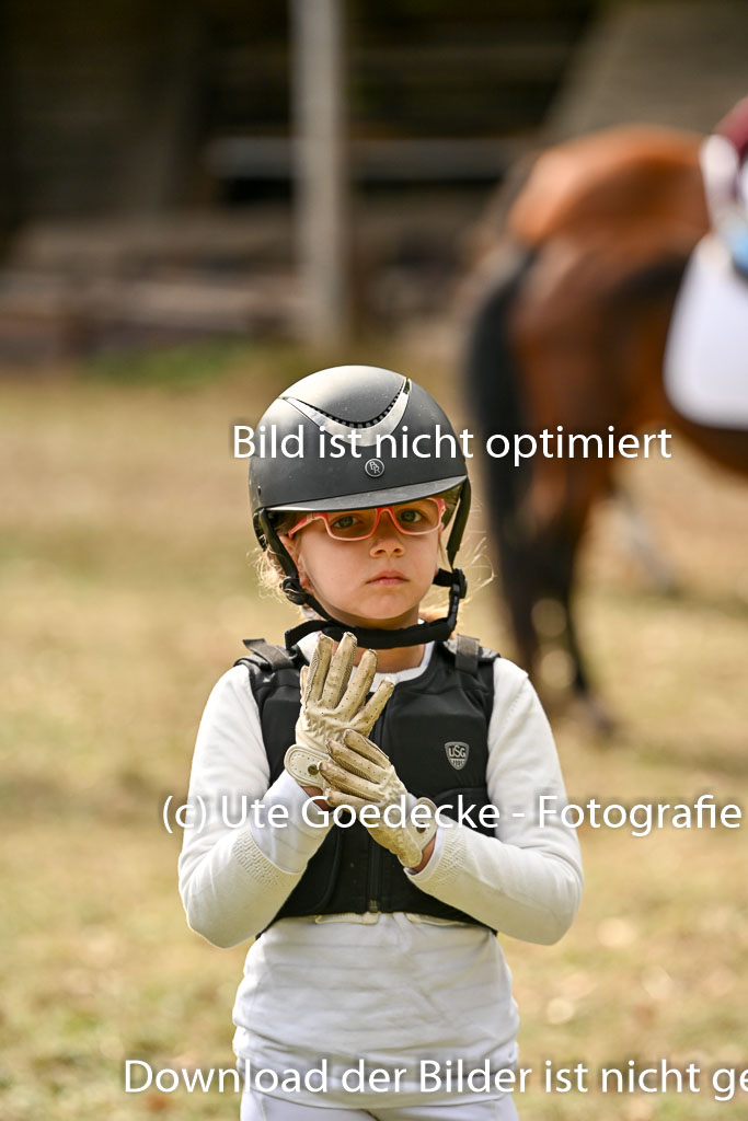  | 27092025  Führzügel WB _299 