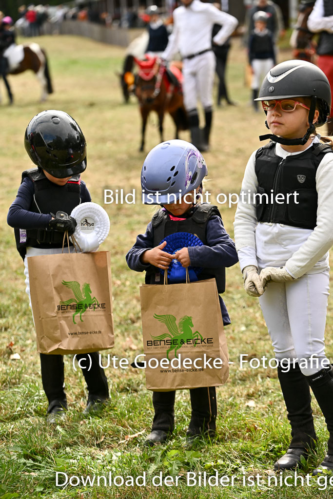  | 27092025  Führzügel WB _306 