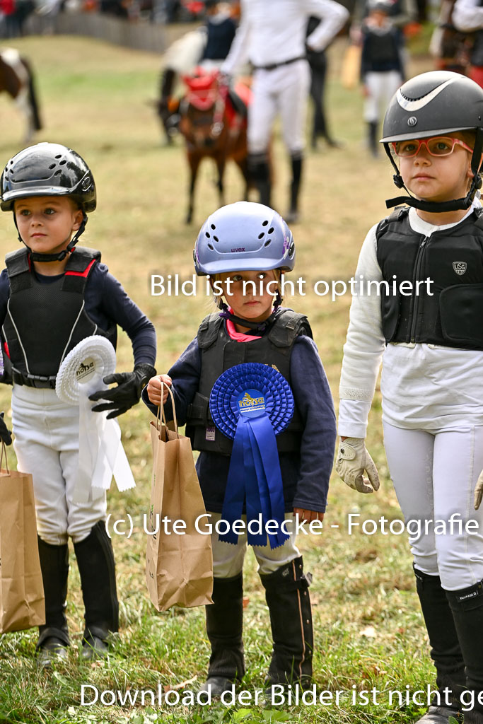  | 27092025  Führzügel WB _309 