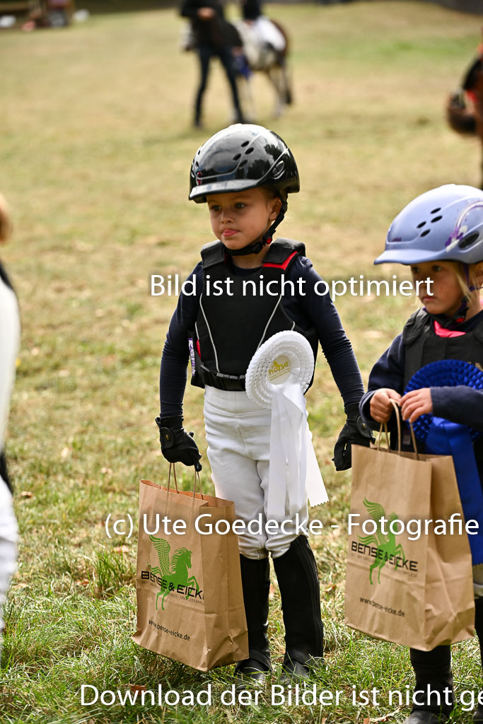  | 27092025  Führzügel WB _310 