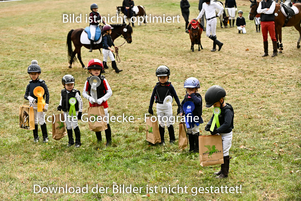  | 27092025  Führzügel WB _329 
