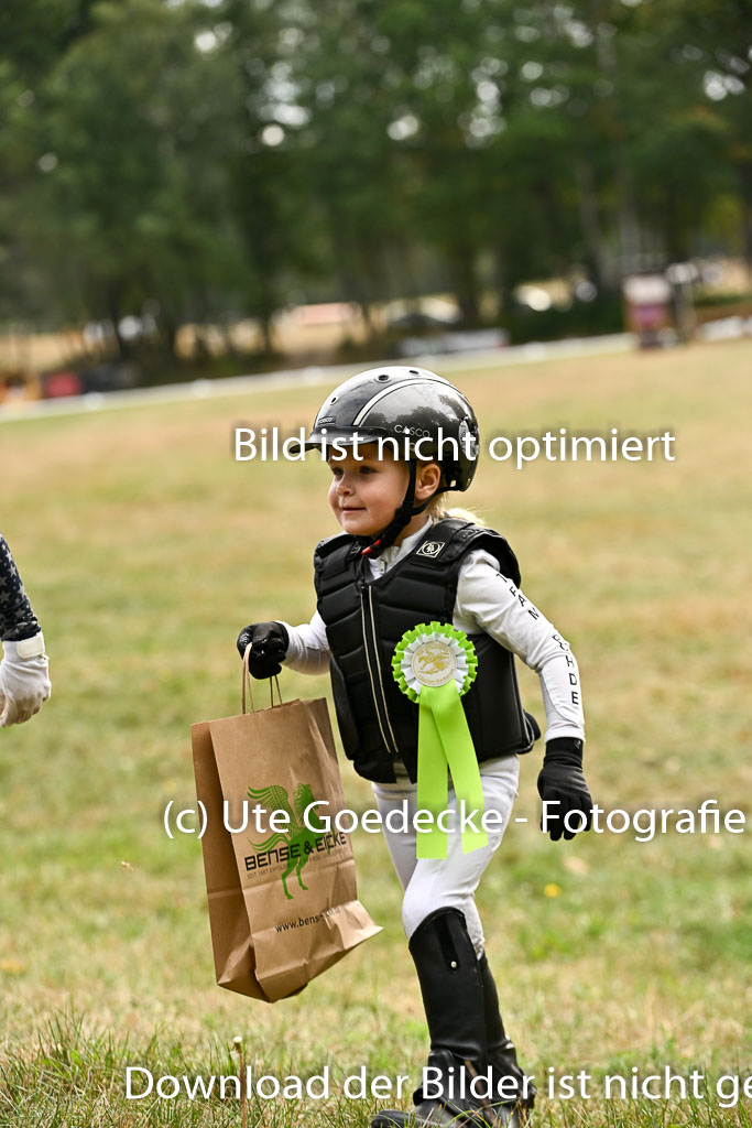  | 27092025  Führzügel WB _331 