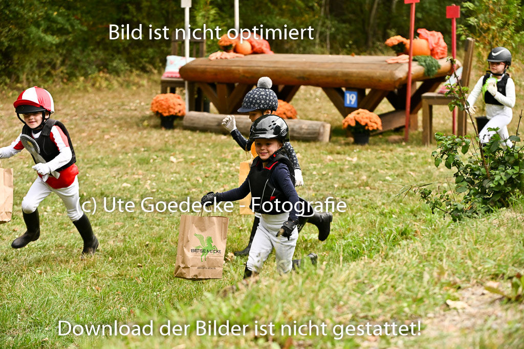  | 27092025  Führzügel WB _336 