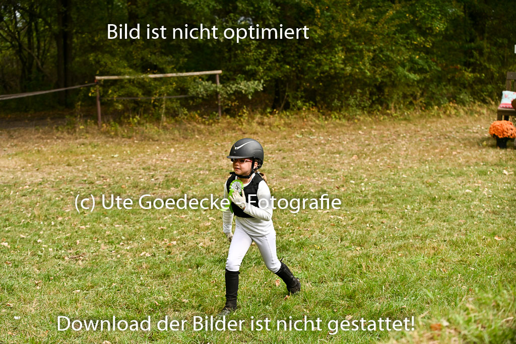  | 27092025  Führzügel WB _339 