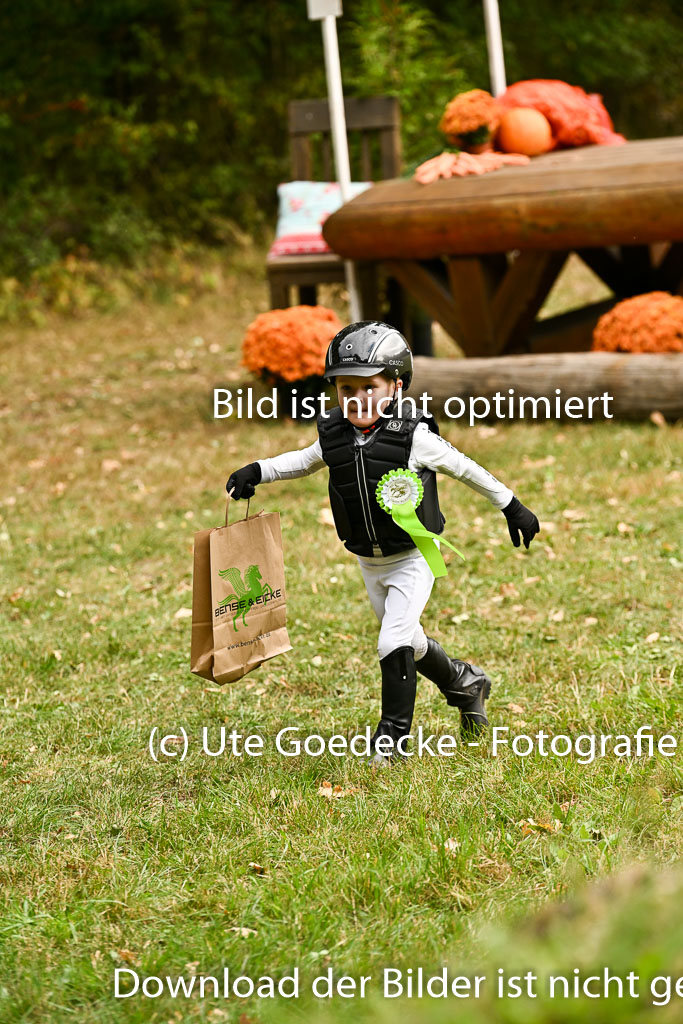  | 27092025  Führzügel WB _340 