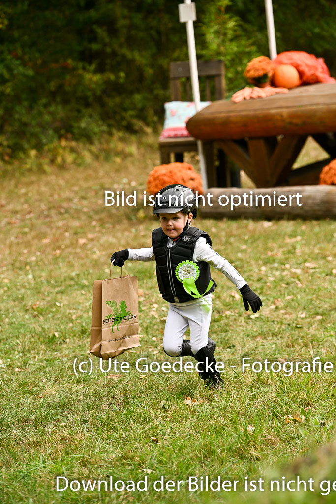  | 27092025  Führzügel WB _341 