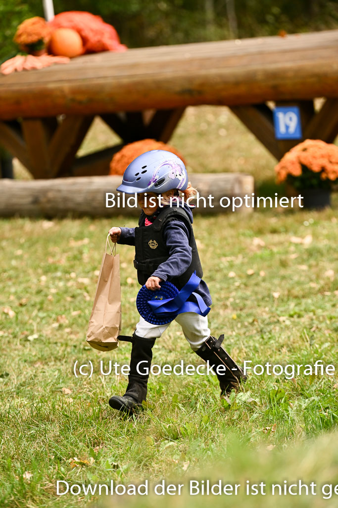  | 27092025  Führzügel WB _343 