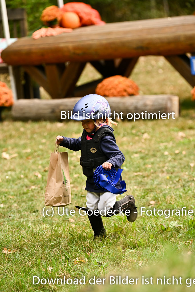  | 27092025  Führzügel WB _344 