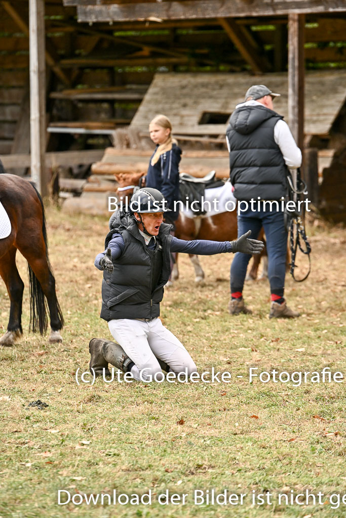  | 27092025  Führzügel WB _353 