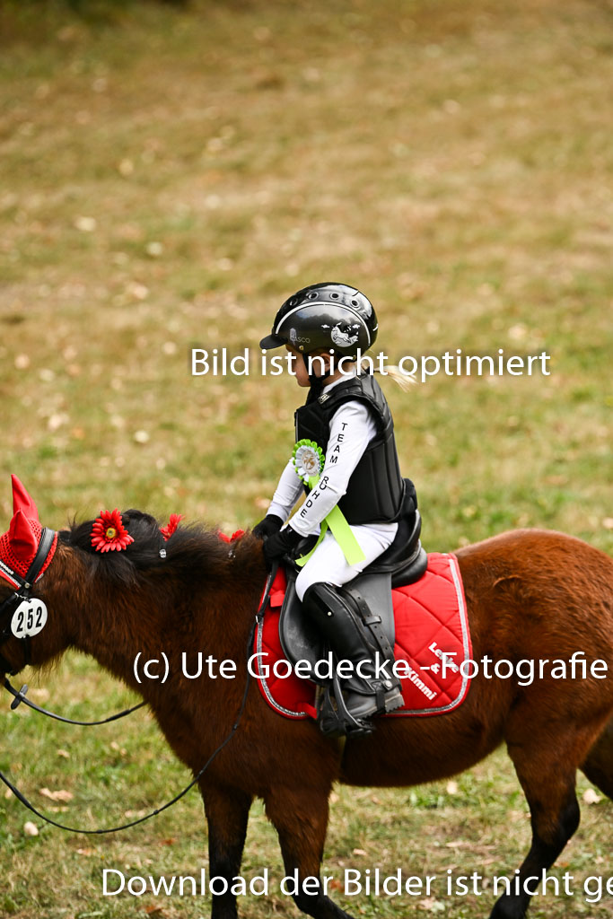  | 27092025  Führzügel WB _357 