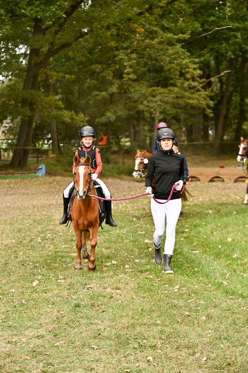  | 27092025  Führzügel WB _024 