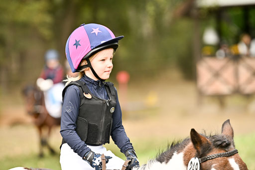  | 27092025  Führzügel WB _030 