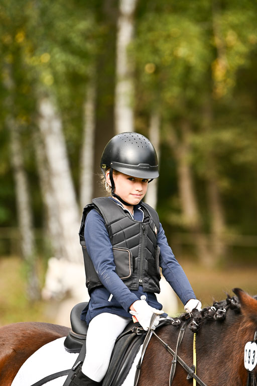  | 27092025  Führzügel WB _045 