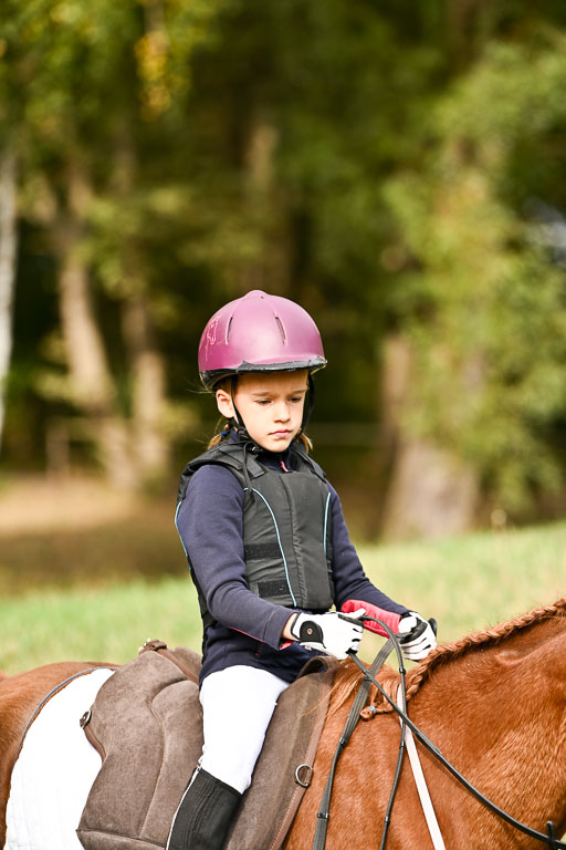  | 27092025  Führzügel WB _051 