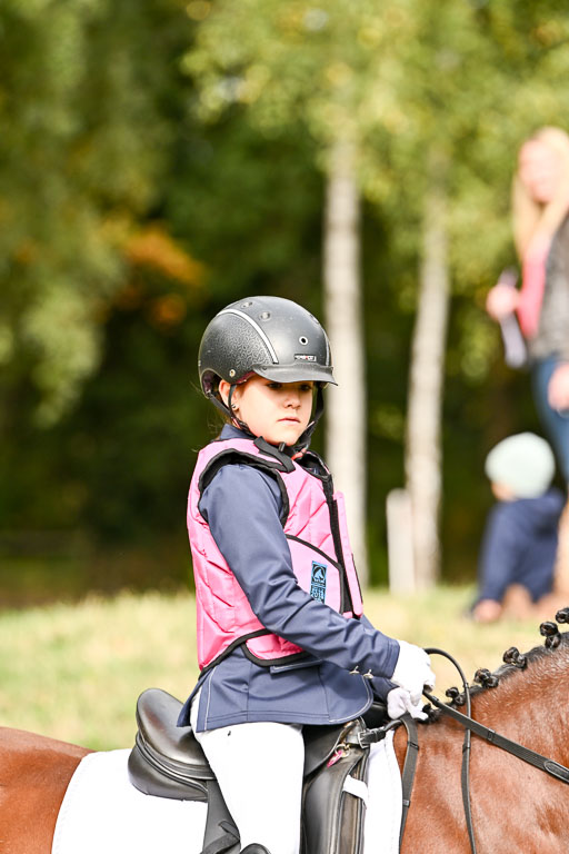  | 27092025  Führzügel WB _053 