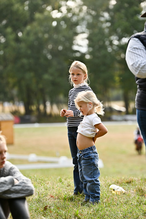  | 27092025  Führzügel WB _086 