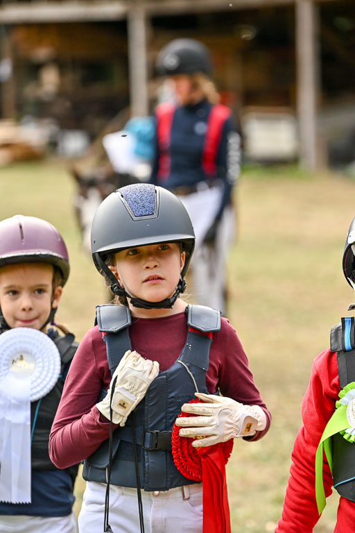  | 27092025  Führzügel WB _146 