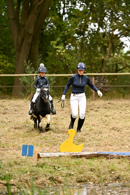  | 27092025  Führzügel WB _195 