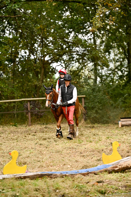  | 27092025  Führzügel WB _214 