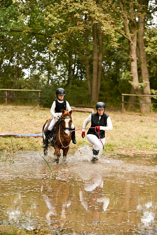  | 27092025  Führzügel WB _225 