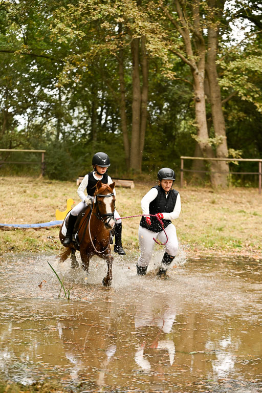  | 27092025  Führzügel WB _228 