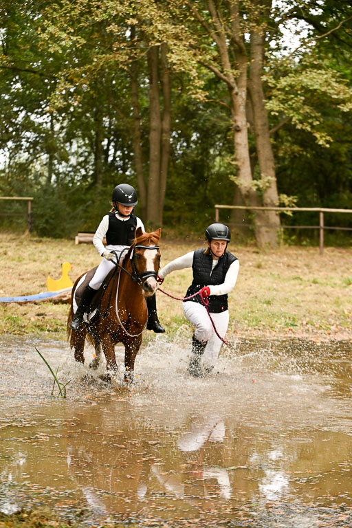  | 27092025  Führzügel WB _229 